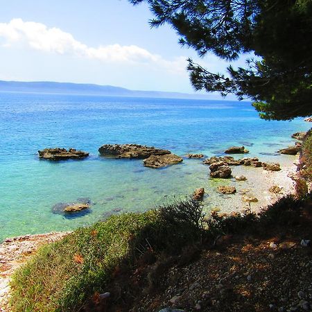 Victoria Cottage Camping Dole Blato  외부 사진
